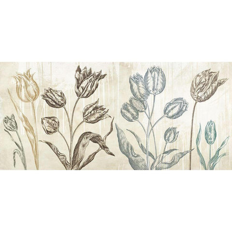 Botaniques Cochin 1 (suede) Black Modern Wood Framed Art Print with Double Matting by Eric, Chestier