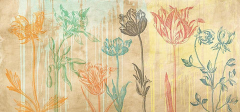 Botaniques Cochin 2 (coleurs) Black Ornate Wood Framed Art Print with Double Matting by Eric, Chestier