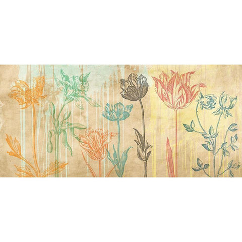 Botaniques Cochin 2 (coleurs) Black Modern Wood Framed Art Print with Double Matting by Eric, Chestier