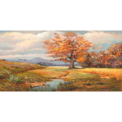 Sorgente nella radura Gold Ornate Wood Framed Art Print with Double Matting by Cerana, Francesco