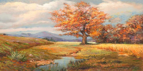 Sorgente nella radura White Modern Wood Framed Art Print with Double Matting by Cerana, Francesco