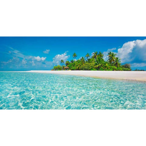 Palm island, Maldives Gold Ornate Wood Framed Art Print with Double Matting by Krahmer, Frank