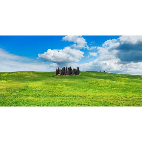 Cypresses- Val dOrcia- Tuscany (detail) Gold Ornate Wood Framed Art Print with Double Matting by Krahmer, Frank