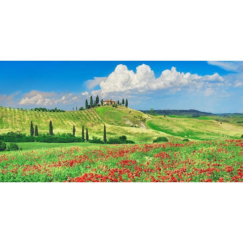 Farmhouse with Cypresses and Poppies- Val dOrcia- Tuscany  Black Modern Wood Framed Art Print by Krahmer, Frank
