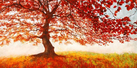 Red Leaves Black Ornate Wood Framed Art Print with Double Matting by Eeelder, Jan