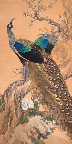 A Pair of Peacocks in Spring White Modern Wood Framed Art Print with Double Matting by Imao KeinenImao, Keinen