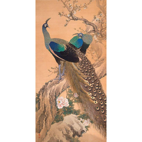 A Pair of Peacocks in Spring Black Modern Wood Framed Art Print with Double Matting by Imao KeinenImao, Keinen