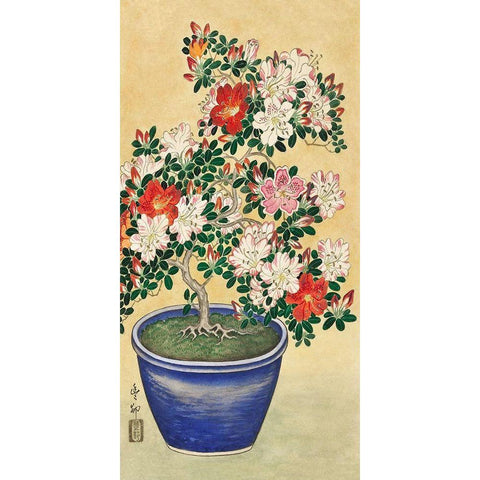 Blooming azalea in blue pot White Modern Wood Framed Art Print by Koson, Ohara