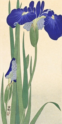 Irises Black Ornate Wood Framed Art Print with Double Matting by Koson, Ohara
