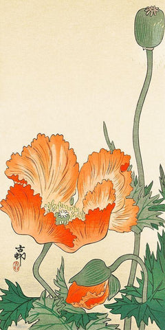 Poppies White Modern Wood Framed Art Print with Double Matting by Koson, Ohara