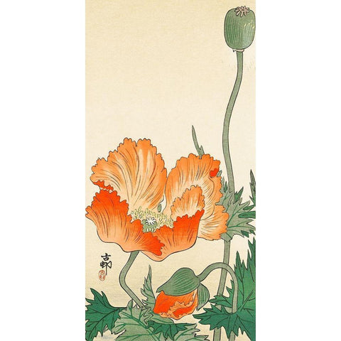 Poppies Gold Ornate Wood Framed Art Print with Double Matting by Koson, Ohara