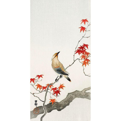 Japanese Jay on Maple Gold Ornate Wood Framed Art Print with Double Matting by Anonymous