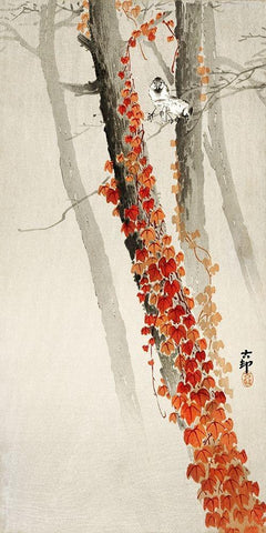 Red Ivy White Modern Wood Framed Art Print with Double Matting by Koson, Ohara