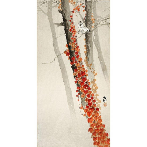 Red Ivy White Modern Wood Framed Art Print by Koson, Ohara