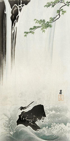 Japanese Wagtail at Waterfall Black Ornate Wood Framed Art Print with Double Matting by Koson, Ohara