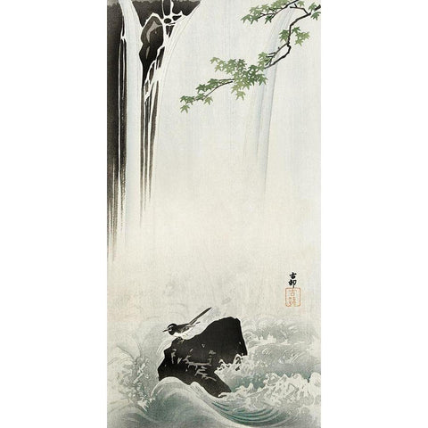 Japanese Wagtail at Waterfall White Modern Wood Framed Art Print by Koson, Ohara