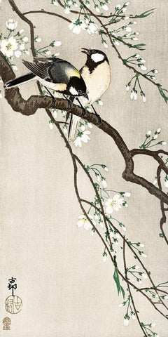 Tits on Cherry Branch White Modern Wood Framed Art Print with Double Matting by Koson, Ohara