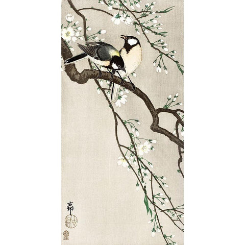 Tits on Cherry Branch White Modern Wood Framed Art Print by Koson, Ohara