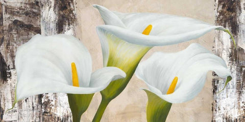 True Nature White Modern Wood Framed Art Print with Double Matting by Thomlinson, Jenny