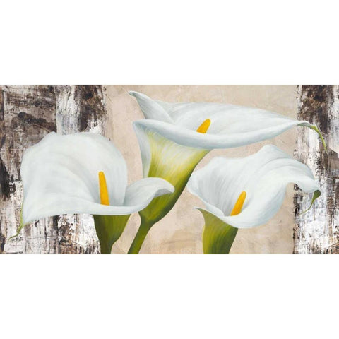 True Nature Black Modern Wood Framed Art Print with Double Matting by Thomlinson, Jenny