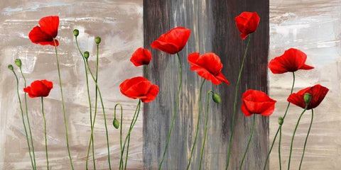 Country Poppies Black Ornate Wood Framed Art Print with Double Matting by Thomlinson, Jenny
