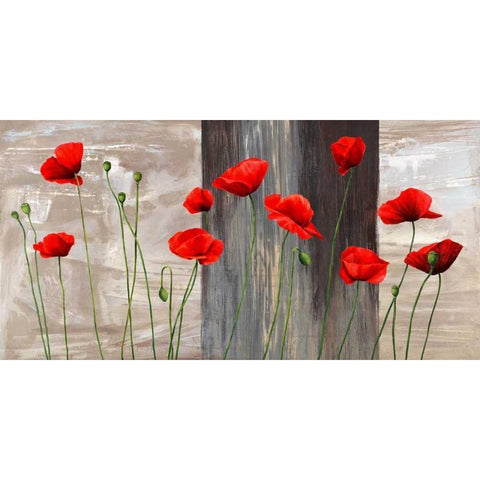 Country Poppies Black Modern Wood Framed Art Print by Thomlinson, Jenny