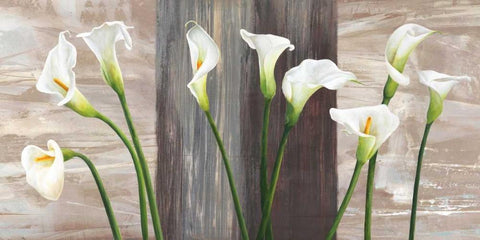 Country Callas White Modern Wood Framed Art Print with Double Matting by Thomlinson, Jenny