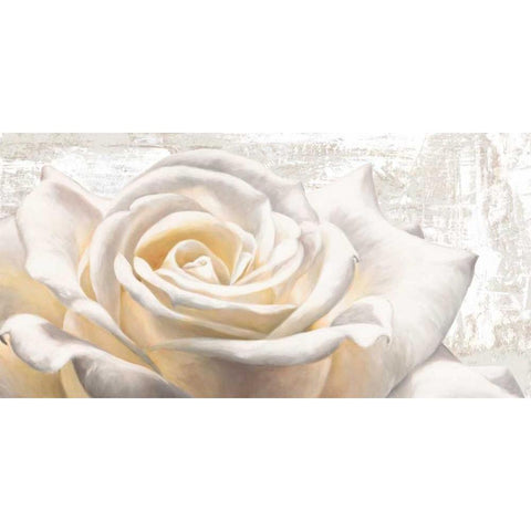 White on White White Modern Wood Framed Art Print by Thomlinson, Jenny