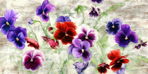 Field of Pansies Black Ornate Wood Framed Art Print with Double Matting by Thomlinson, Jenny