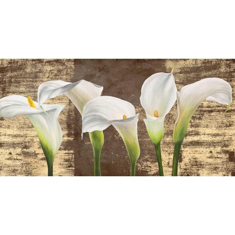 Callas on Gold (mocca variation) Black Modern Wood Framed Art Print with Double Matting by Thomlinson, Jenny