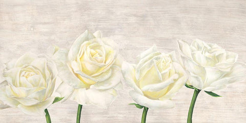 Classic Roses White Modern Wood Framed Art Print with Double Matting by Jenny, Thomlinson