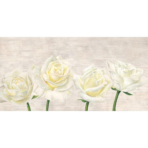 Classic Roses White Modern Wood Framed Art Print by Jenny, Thomlinson