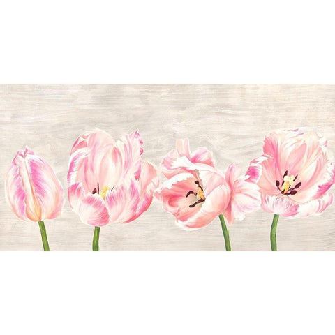 Classic Tulips Black Modern Wood Framed Art Print with Double Matting by Jenny, Thomlinson