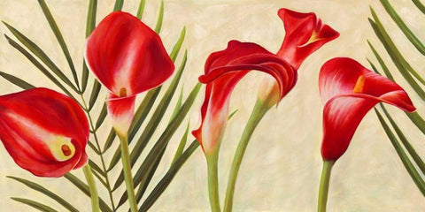 Red Callas White Modern Wood Framed Art Print with Double Matting by Thomlinson, Jenny