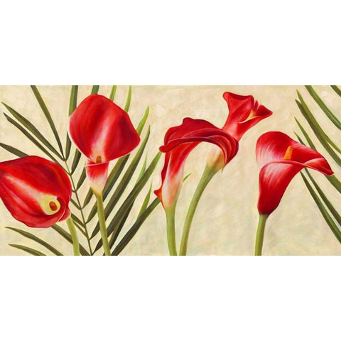 Red Callas Black Modern Wood Framed Art Print by Thomlinson, Jenny