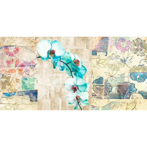 Kaleidoscope Orchid II Black Modern Wood Framed Art Print by Kelly, Parr