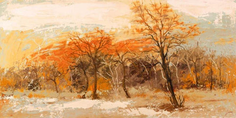 Foresta I White Modern Wood Framed Art Print with Double Matting by Lucas