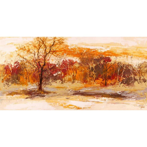 Foresta II White Modern Wood Framed Art Print by Lucas