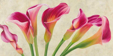 Calla parade Black Ornate Wood Framed Art Print with Double Matting by Villa, Luca