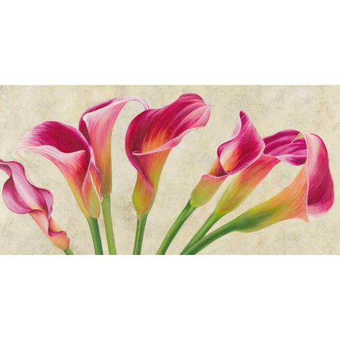 Calla parade Gold Ornate Wood Framed Art Print with Double Matting by Villa, Luca