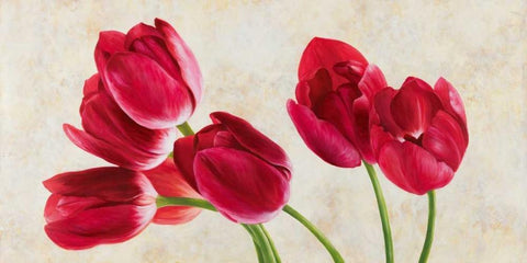 Tulip concerto Black Ornate Wood Framed Art Print with Double Matting by Villa, Luca