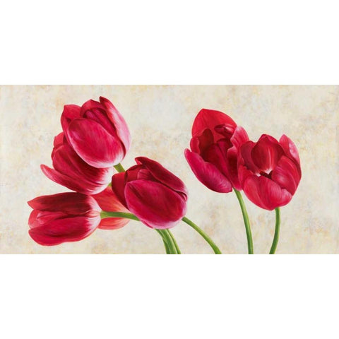 Tulip concerto Black Modern Wood Framed Art Print by Villa, Luca