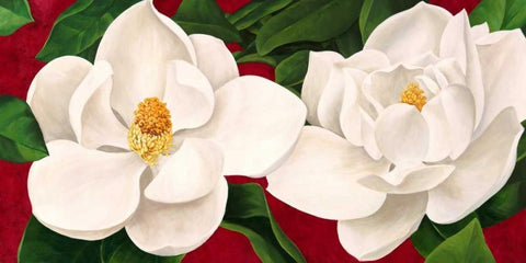 Magnolie in fiore White Modern Wood Framed Art Print with Double Matting by Villa, Luca