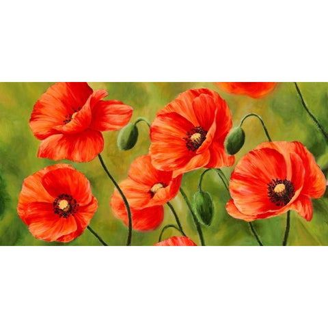 Field of Poppies Gold Ornate Wood Framed Art Print with Double Matting by Villa, Luca