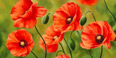 Field of Poppies Black Ornate Wood Framed Art Print with Double Matting by Villa, Luca