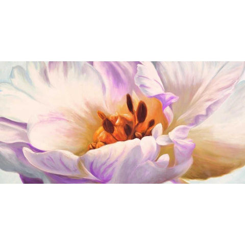 Tulipe Black Modern Wood Framed Art Print with Double Matting by Villa, Luca