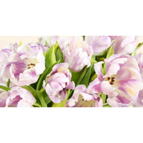 Tulipes en Fleur Black Modern Wood Framed Art Print by Villa, Luca