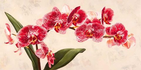 Purple Queens Black Ornate Wood Framed Art Print with Double Matting by Villa, Luca