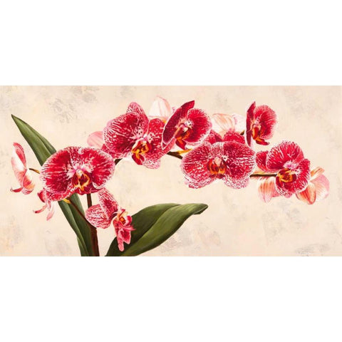 Purple Queens Black Modern Wood Framed Art Print by Villa, Luca