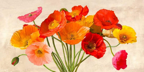 Poppies in Spring White Modern Wood Framed Art Print with Double Matting by Villa, Luca